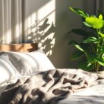 Arbre de jade dans une chambre : Danger énergétique ou plante bénéfique ?